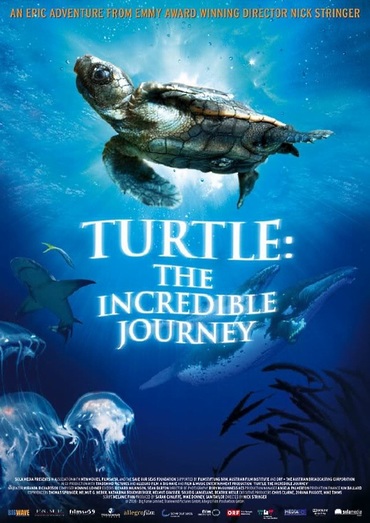 دانلود مستند Turtle: The Incredible Journey 2009